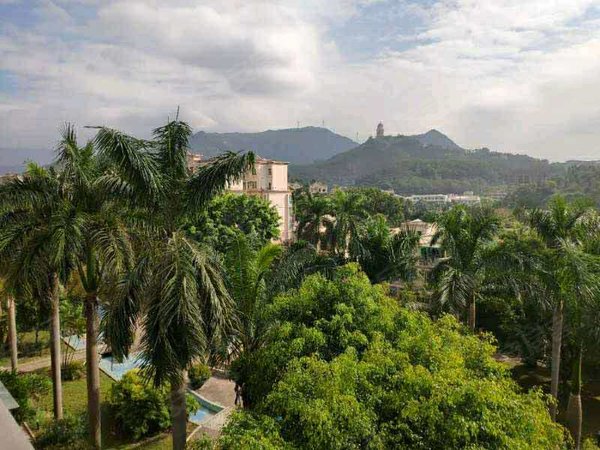 东莞樟木头东城广场御景花园急出租 御景花园 2室2厅1卫,配套齐全