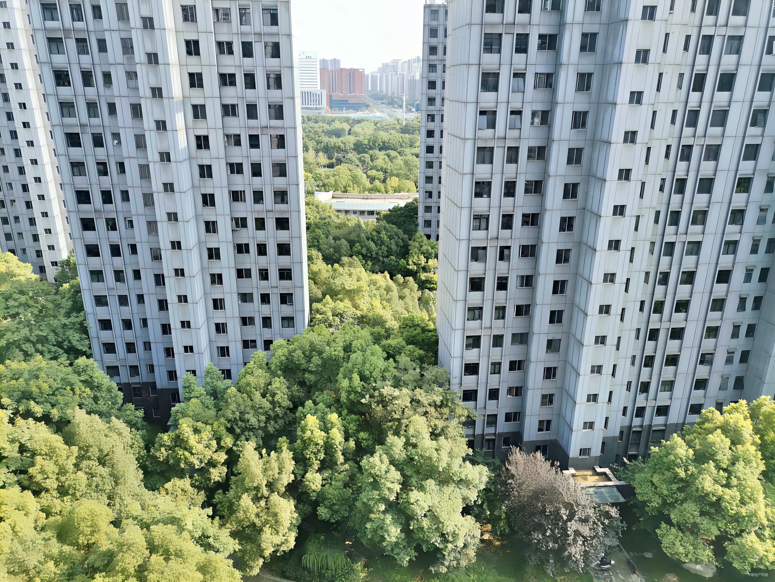 合肥房产网>合肥二手房>政务二手房>天鹅湖二手房>天鹅湖畔小区>