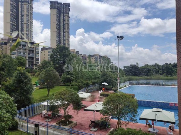 贵阳花溪清溪路保利溪湖a区花溪区保利溪湖精装三房出租出租房源真实