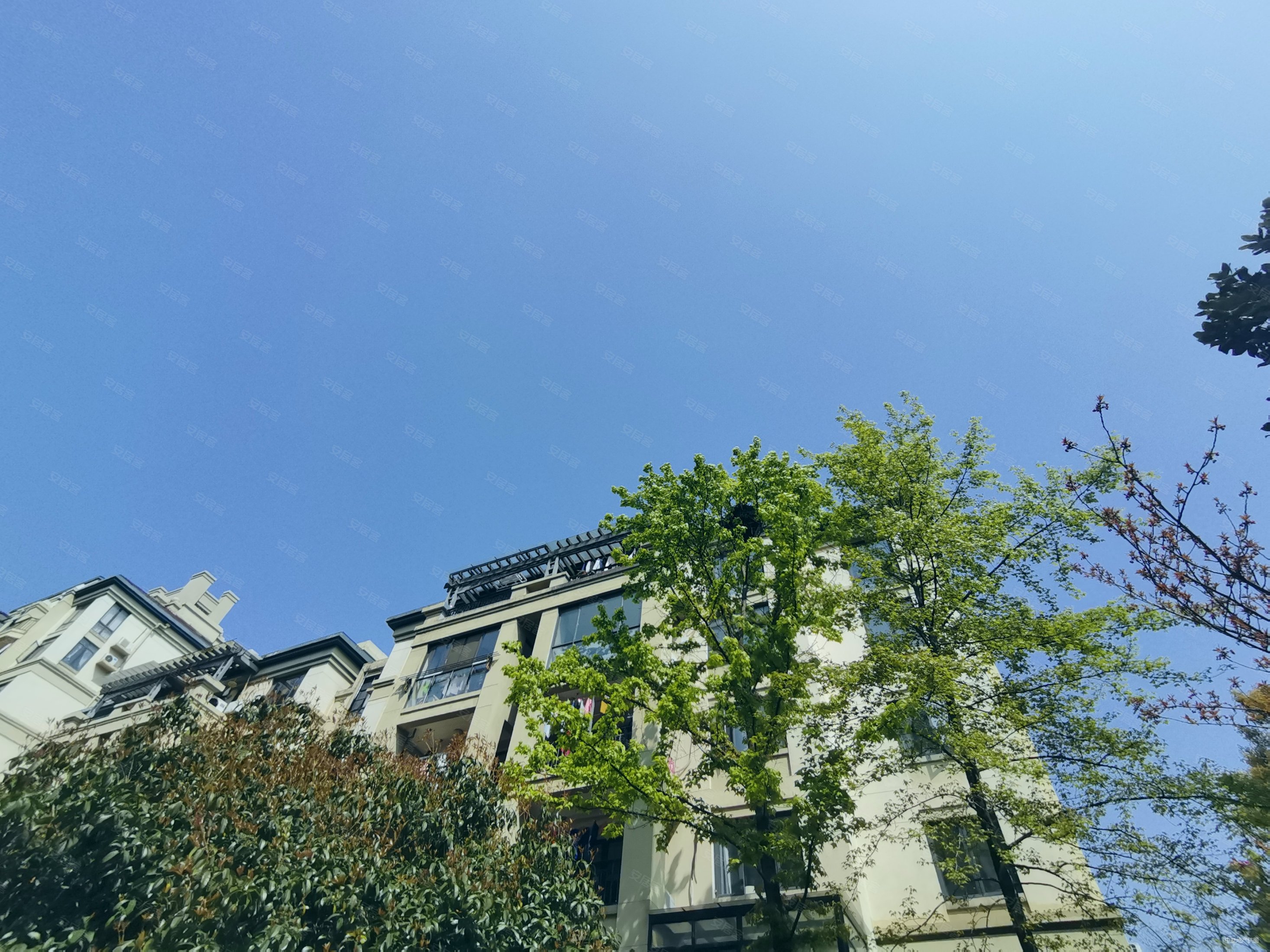 00万元,绿城桂花园二手房,435万,4室3厅,2卫,147.8平米-合肥安居客