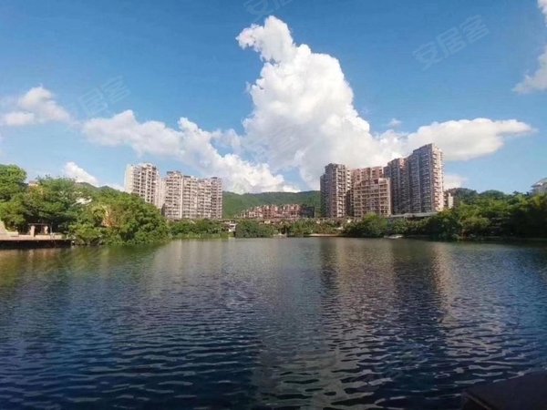 深圳龙华梅林关口星河丹堤星河丹堤新出的,看房方便出租房源真实图片