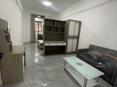 深圳龙岗龙岗中心城本月免租金近南联地铁站,精装公寓押一付一拎包入住出租房源真实图片