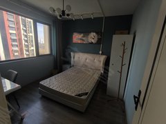 合肥新站陶冲湖地铁四号线 安医大四院 京东方 北岗花园二期精装单间出租出租房源真实图片