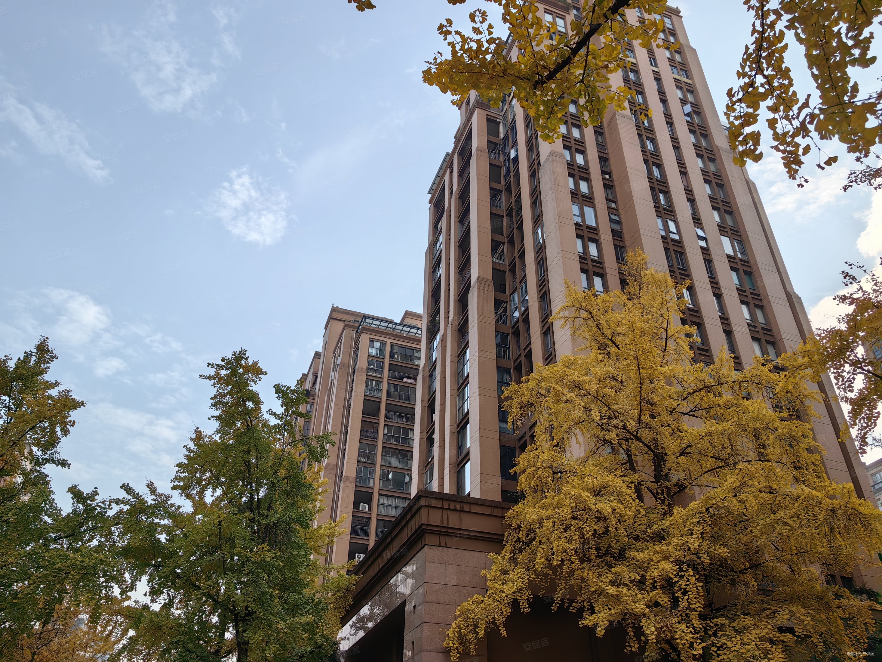 桐梓林欧城3室2厅2卫158.27㎡南400万