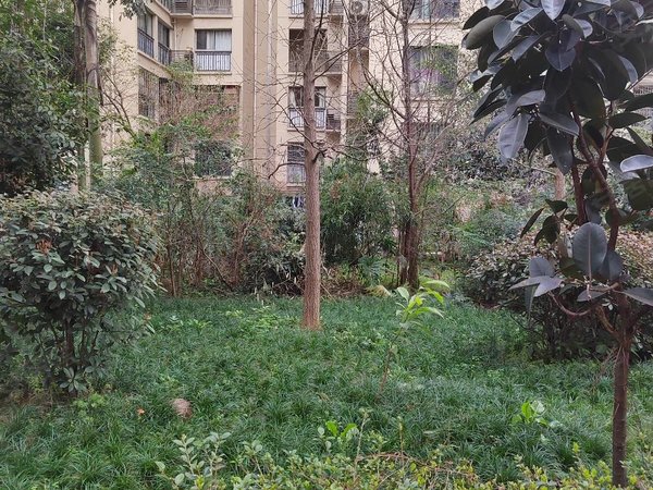 重庆江津双福新区金成溪山美郡家具家电齐全,业主自己住家装修,位置好