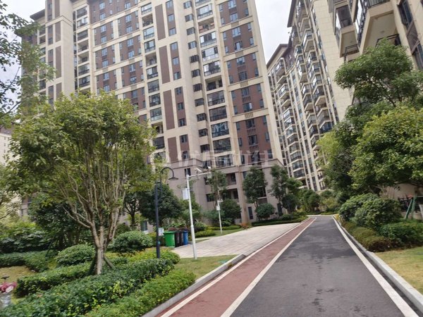 【多图】碧桂园西南上城观山府,商贸城租房,金阳客车站西南上城观山府