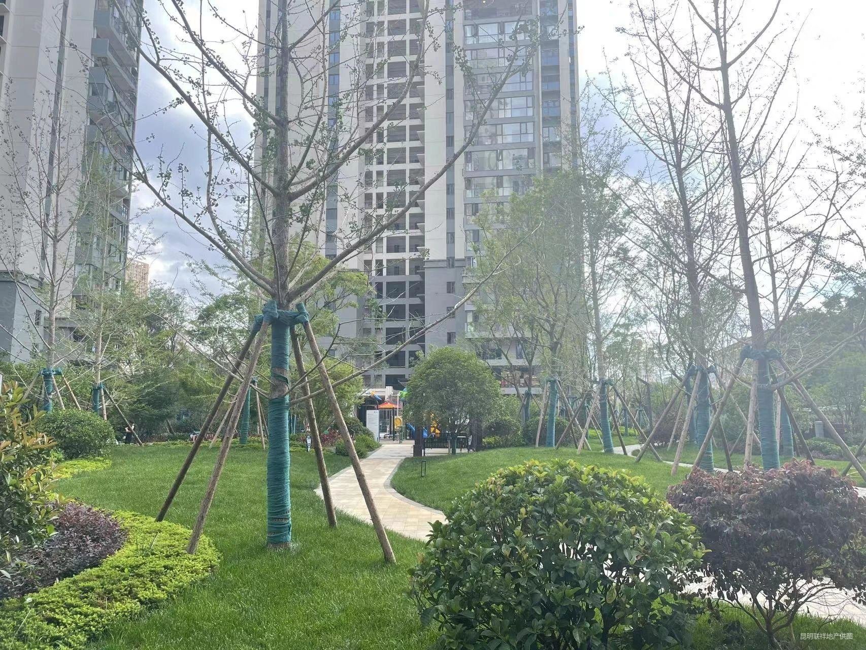 户型好无浪费空间 资金周转急卖 价格可谈,碧桂园龙腾世家二手房,81万