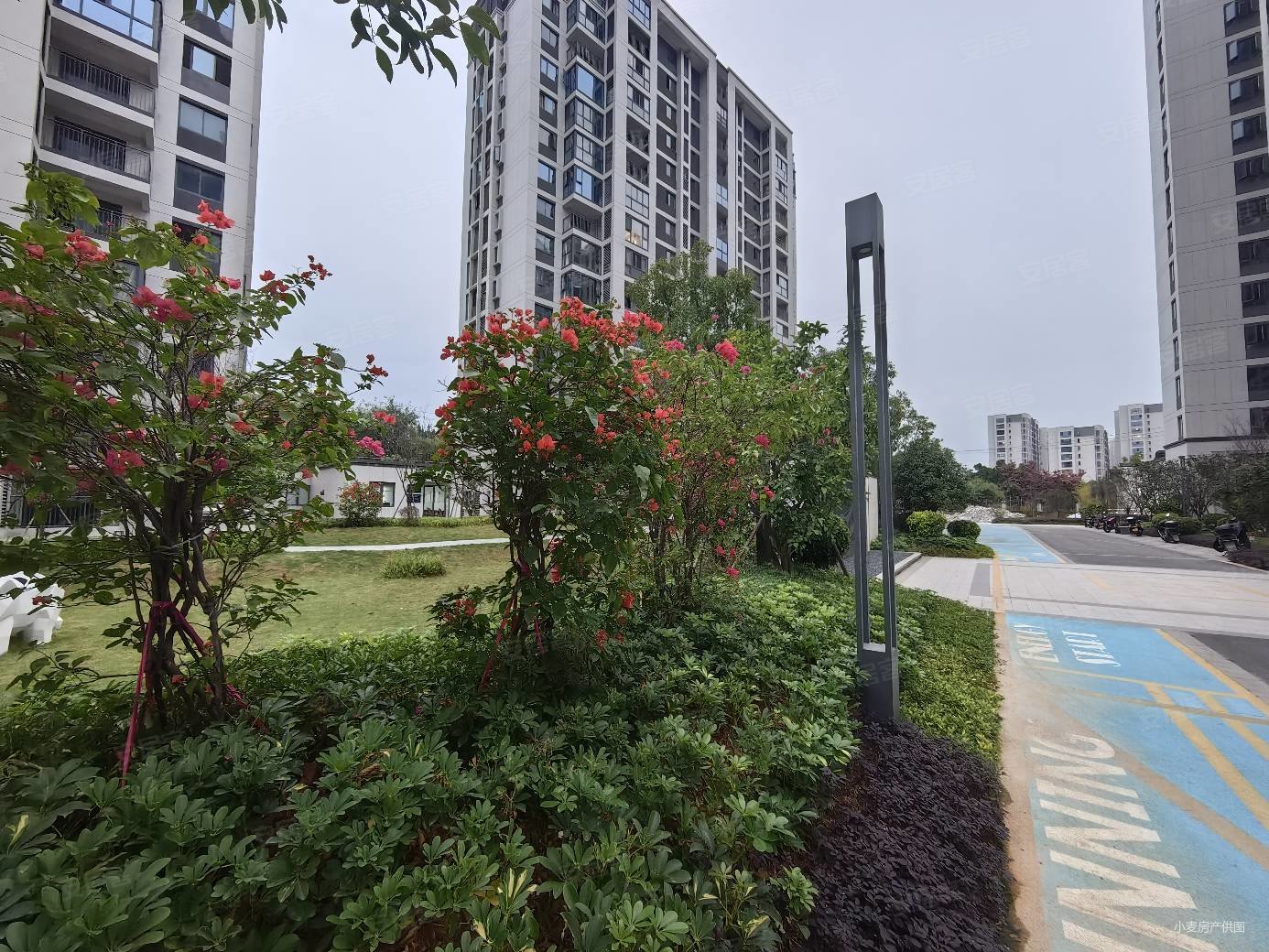 大东海中央府c区