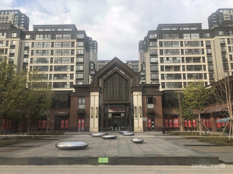 万科金域国际 南向采光好 精装修 刚需小三居 小区新