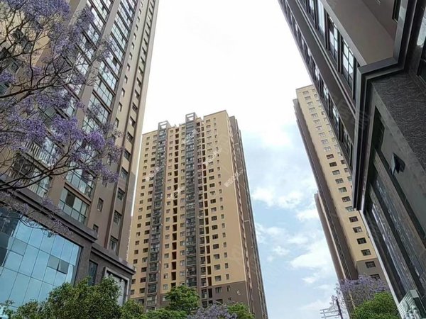 肿瘤医院旁 碧鸡名城精装两室 带家具家电 拎包入住,西山租房-昆明58