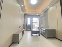 整租嘉禾地铁口公寓房 月付可短租 南北通透 电梯房 精装修
