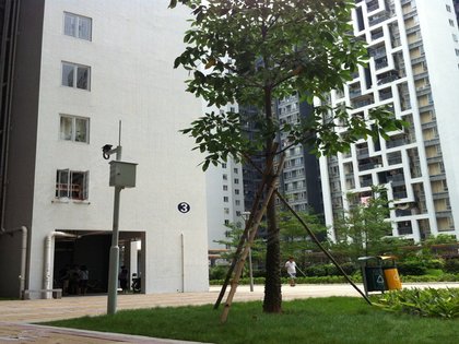 广氮花园,广氮大道 - 广州广氮花园二手房,租房,房价-广州安居客