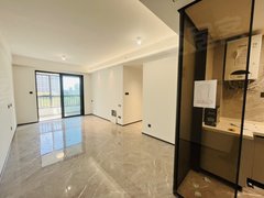 上海青浦徐泾中铁虹桥逸都近美的安踏3房空租 全屋中央空调地暖新风系统出租房源真实图片