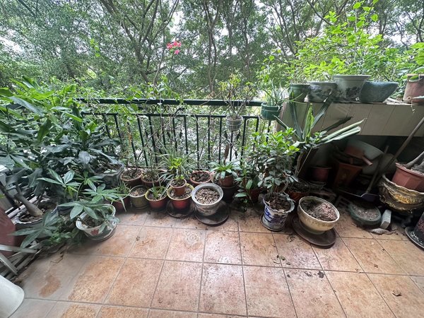 广州海珠广州塔翠园小区广州塔旁,近珠城,园林绿化小区三房,安静舒适