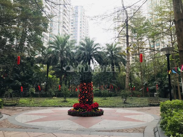 【多圖】德瑞花園,東盟商務租房,德瑞花園 電梯房 精裝 整租 49平