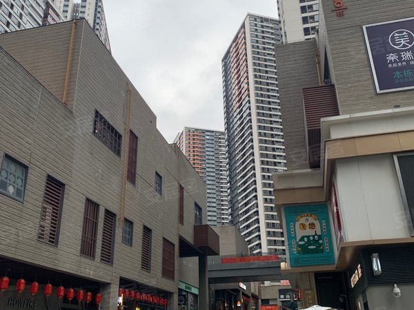 黄贝岭租房,深业东岭漂亮温馨一房一厅,还有其他房,罗湖租房-深圳58