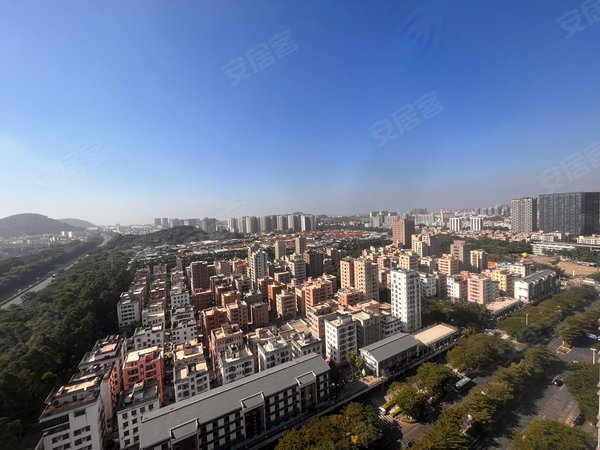 深圳宝安福永合一凤凰智慧港凤凰山脚下 凤凰菜市场 凤凰广场 精装1房