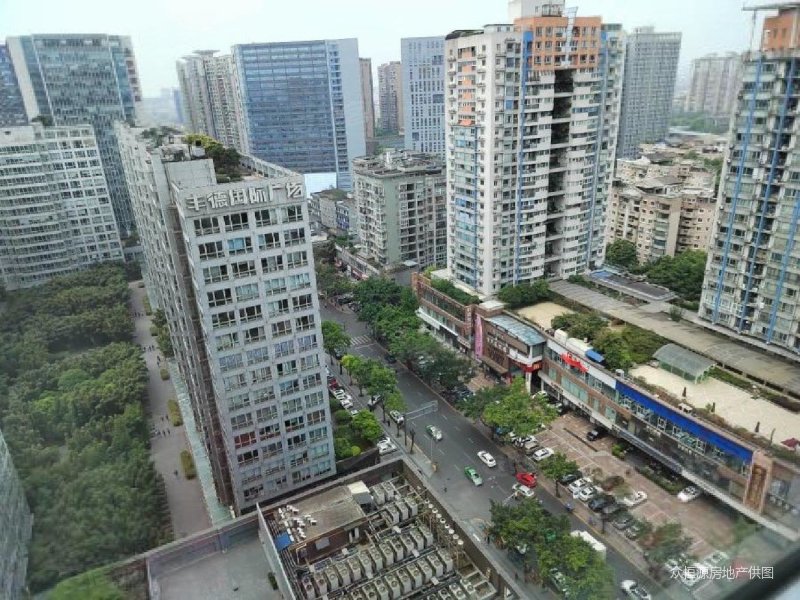 成都房产网>成都二手房>武侯二手房>桐梓林二手房>桐梓林7号>