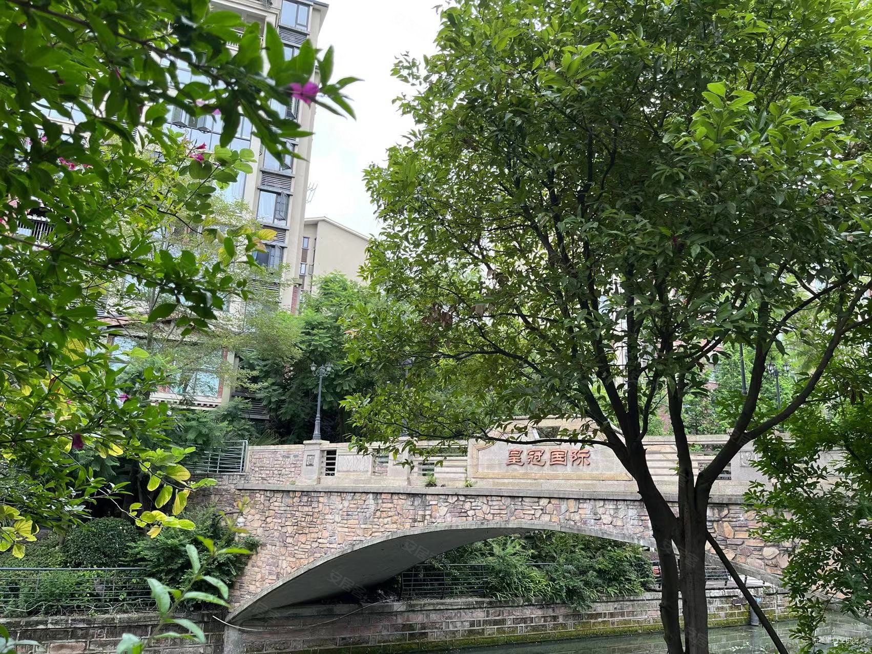 新希望皇冠国际