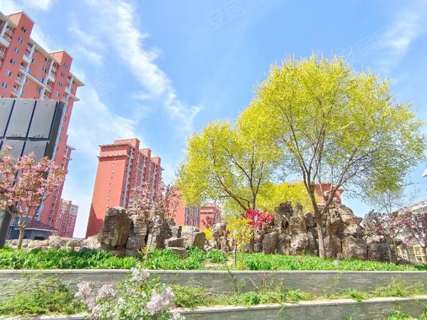 【多图】德鑫嘉园,新宫租房,实图,新宫地铁站旁,德鑫嘉园精装一居出租