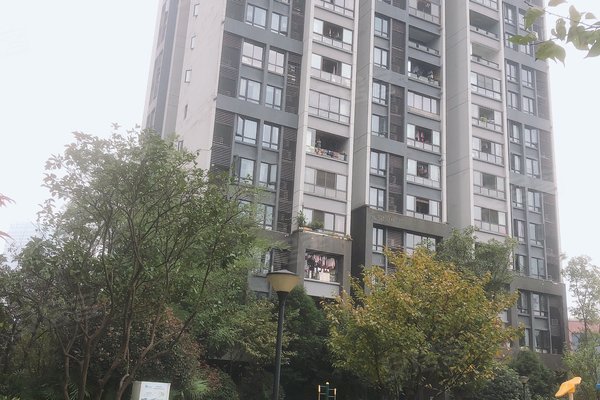 不足,华侨城溪山集怎么样,华侨城溪山集周边房产中介经纪人评价-重庆