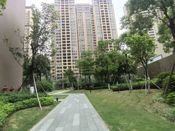 惠州博罗园洲信鸿广场信鸿广场精装修三房出租2300月出租房源真实图片