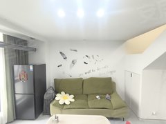 新乡红旗新悦城大桥悦时代精装两室loft拎包入住有燃气汽车东站国悦城附近出租房源真实图片