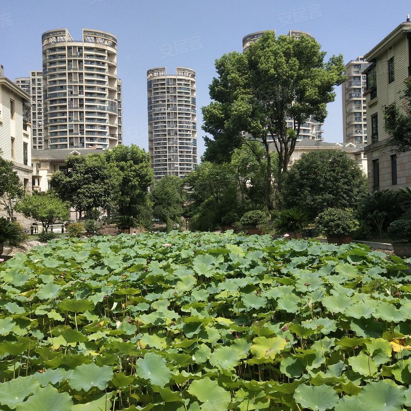 绿都湖滨花园(别墅)小区详情,房价走势,房源,业主论坛】- 杭州58统乔