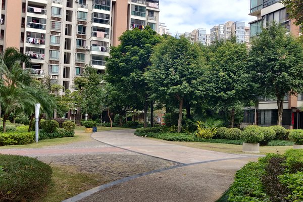 融侨江南水都杰座西区