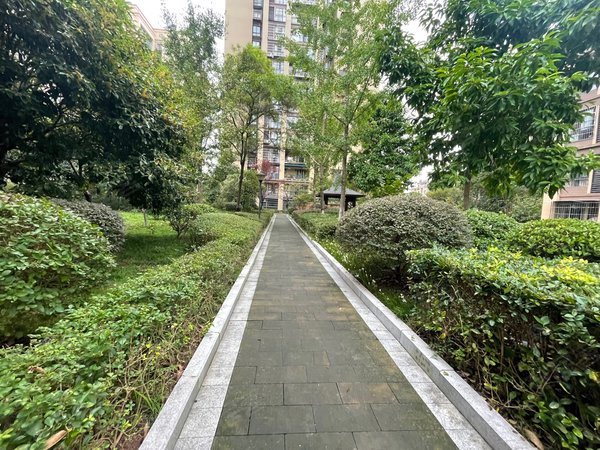 重庆万州江南新区一品江南儿童医院旁 江南新区一品江南精装两房九五