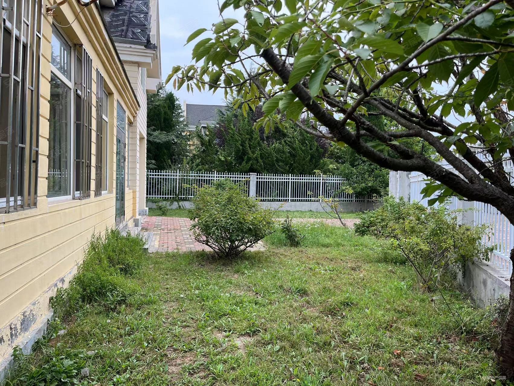 盐场海鲜街独栋别墅低价出售随时看房带300平大院