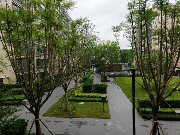 万科璞园洋房 朝中庭 全屋中央空调带新风 精装修3室,渝北租房-重庆58