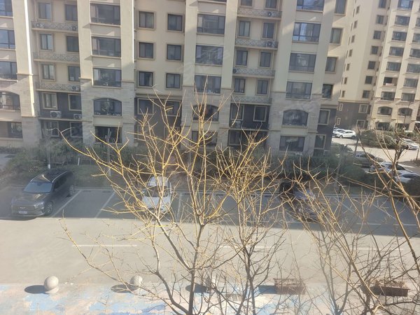 【多图】天一仁和印象,流亭租房,天一仁和印象 3室2厅2卫 2500.