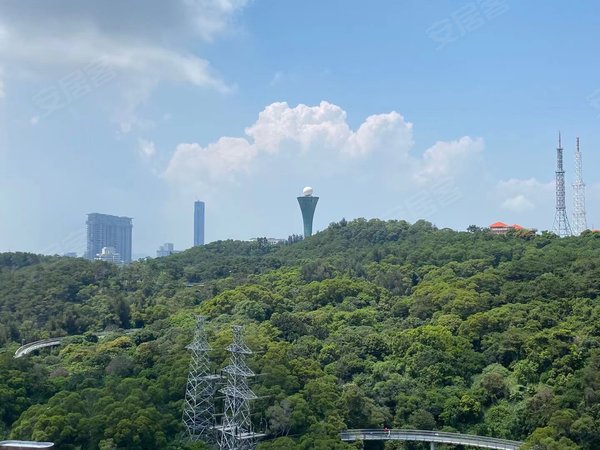 厦门思明湖滨北路陶然北岸七星滨东校区 滨北小学旁 陶然北岸 电梯