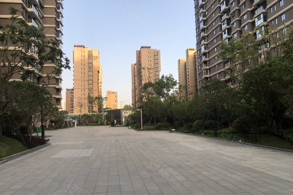纽宾凯公园里