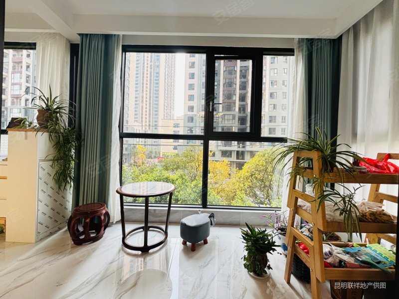 南向阳光房小菜园一二一大街旁层高31阳台7米板楼