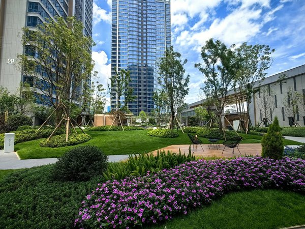 【多图】世茂璀璨臻樾(商住楼),巫家坝租房,海乐世界旁 两室一厅 南悦