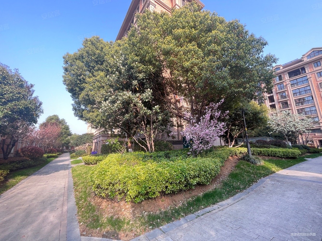 南京房产网>南京二手房>栖霞二手房>仙林大学城二手房>星叶羊山湖花园