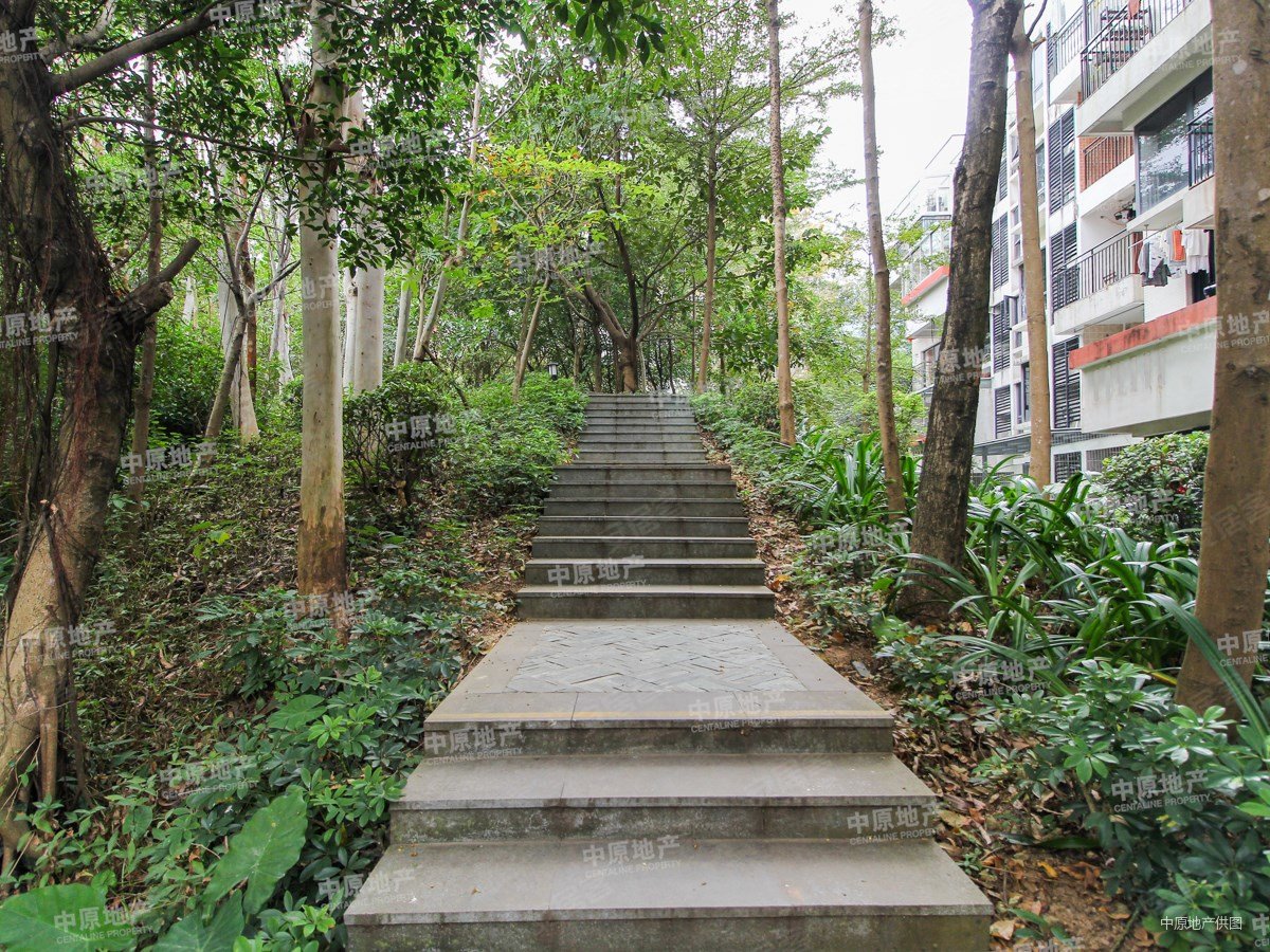 深圳房产网>深圳二手房>盐田二手房>盐田二手房>中海半山溪谷>