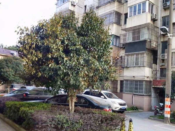 嘉宝花园 月亮湾迎春路地3号线  民水电 可押一付一 丽丰