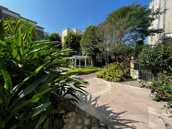 珠海高新区唐家湾海怡湾畔海怡湾畔南向1楼带花园 小区中间位置  随时