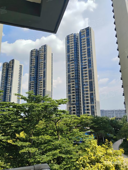 石湾碧桂园中央公园 77平方小三房急售