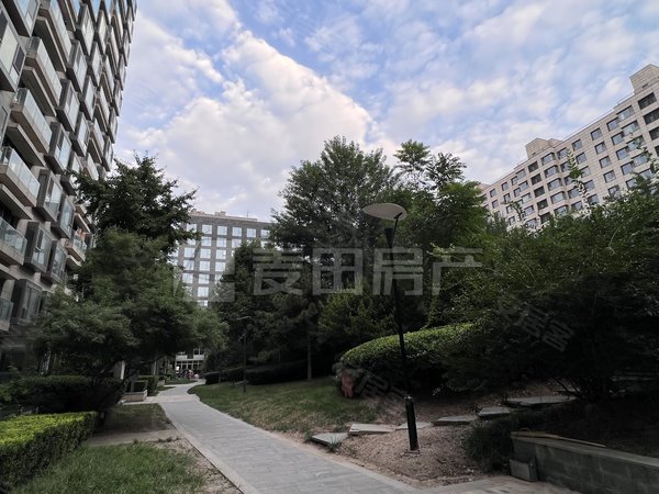 北京西城金融街北京尊府西城区 北京尊府 1室1厅 客厅采光超棒出租