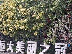 恒大美丽之冠 1室0厅1卫