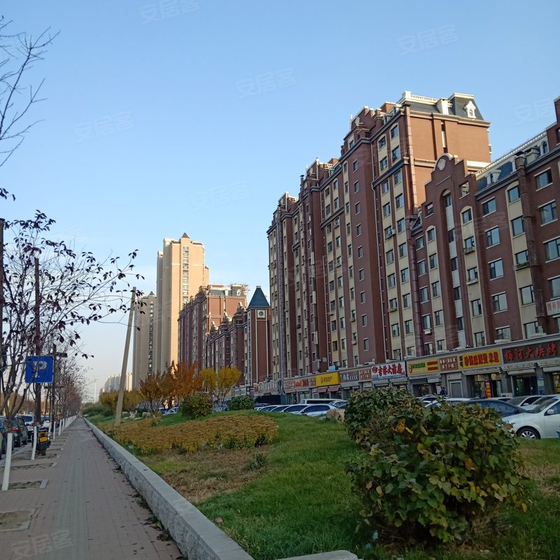【鲁辉国际城, 鲁辉国际城小区详情,房价走势,房源,业主论坛】- 长春