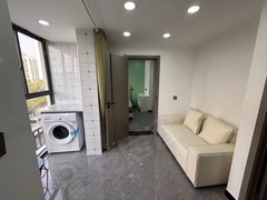 上海浦东高行押一付一 室图拍摄 一室一厅 燃气厨房 电梯房 近通用泛亚出租房源真实图片