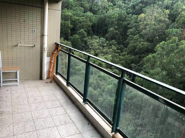 深圳罗湖翠竹阳光绿地家园带入室花园,大阳台,看公园全景,户型方正