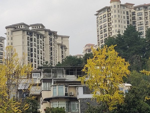 贵阳小河经开区黄河路龙湾国际(一期)办公看过来 黄河路龙湾国际电梯5