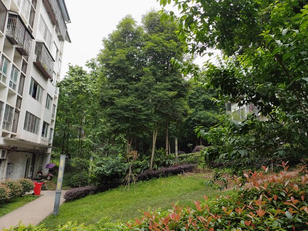 重庆北碚复兴和欣家园和欣家园 2室2厅1卫 64平 1之路出租房源真实