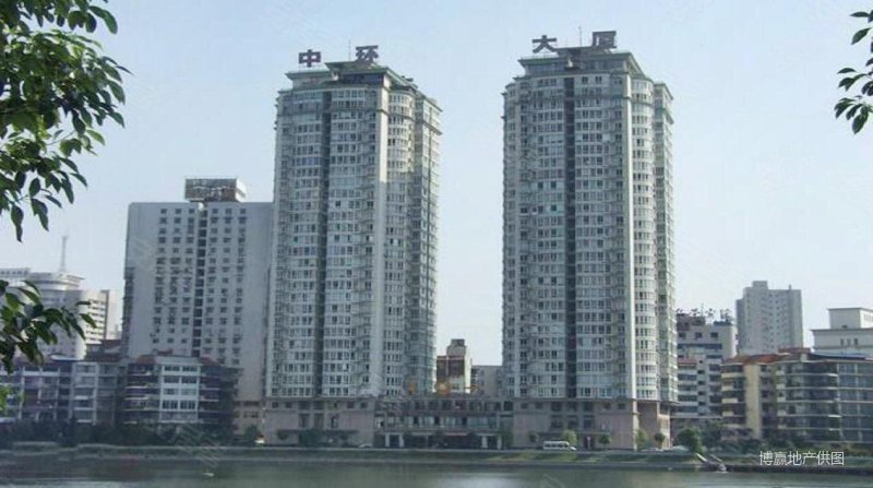 交通便利 双卫格局 精装可拎包入住 近地铁 电梯房,金桥中环大厦二手